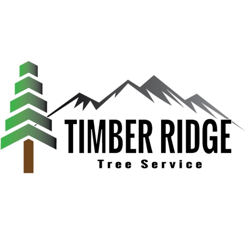 Image for Timber Ridge Tree Service with ID of: 6131696