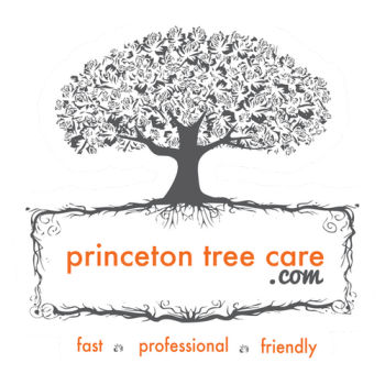 Image for Princeton Tree Care with ID of: 6134314