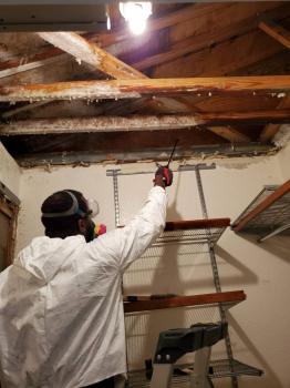Image for One Stop Restoration LLC with ID of: 4959577