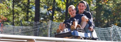 Image for Rowdy Bear Mountain Coaster with ID of: 4959767