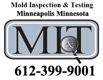 Image for Mold Inspection & Testing Minneapolis MN with ID of: 613576