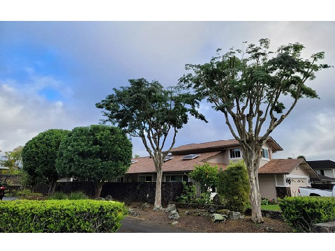 Image for Island Ohana Tree & Landscaping Services with ID of: 4960020
