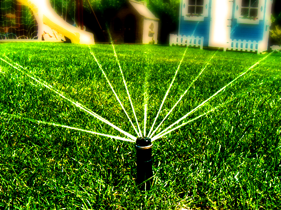 Image for Dr. Sprinkler Repair with ID of: 613733
