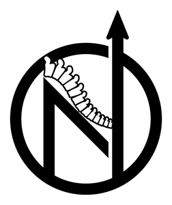 Image for True North Chiropractic & Wellness with ID of: 6137949