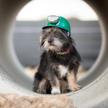 Image for A Better Plumber with ID of: 4963679