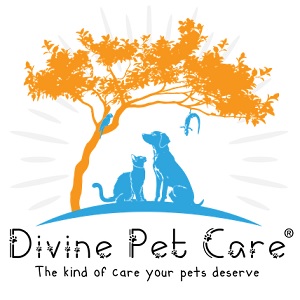 Image for dog walker san diego ca with ID of: 6139848