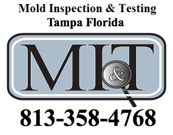 Image for Mold Inspection & Testing Tampa FL with ID of: 613996