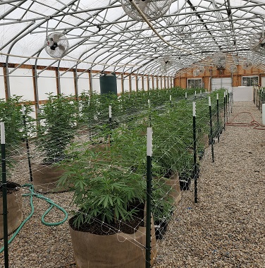 Image for Burnt River Farms with ID of: 4967156