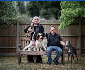 Image for Calmer Canine Training with ID of: 6141242