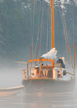 Image for Pelagic Sailing Club with ID of: 4970588