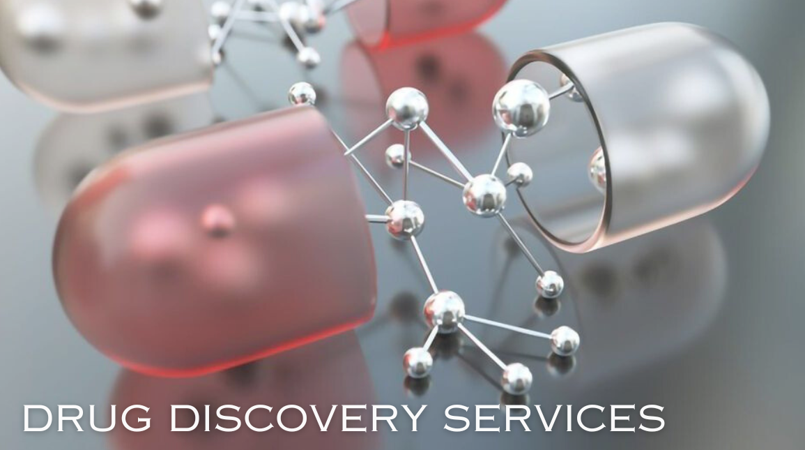 Image for Drug Discovery Services Industry Growth, Development and Demand Forecast to 2030 with ID of: 6145078