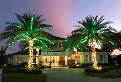 Image for Elite Christmas Lighting with ID of: 4974469