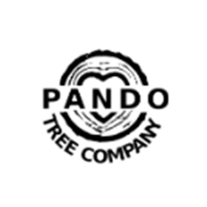 Image for Pando Tree Company with ID of: 6147866