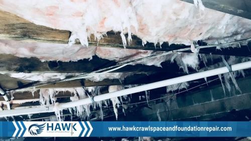 Image for Hawk Crawlspace & Foundation Repair with ID of: 4979398