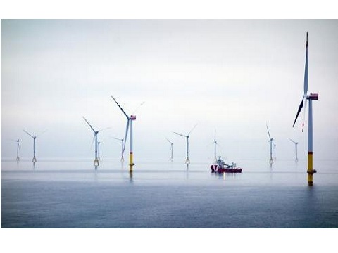 Image for Mackinnon & Partners with ID of: 4979508