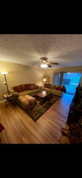 Image for The Flooring Rebel with ID of: 4979526
