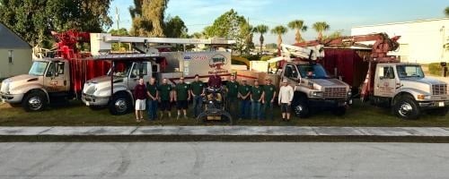 Image for Tim's Tree Service with ID of: 4981495
