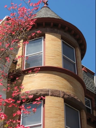 Image for Renaissance Development, Inc with ID of: 4983147