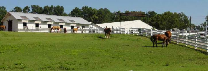 Image for J & G Stables with ID of: 615177