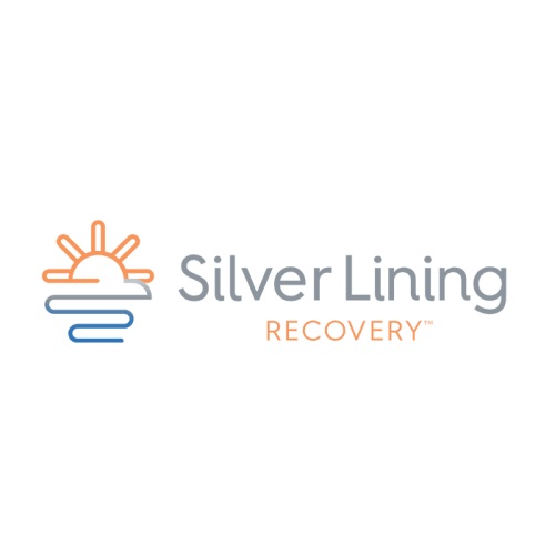 Image for Silver Lining Recovery with ID of: 6153658