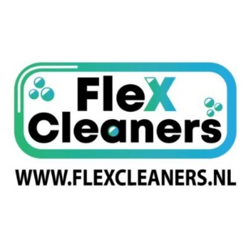 Image for FlexCleaners with ID of: 6154004