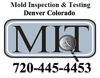 Image for Mold Inspection & Testing Denver CO with ID of: 615420