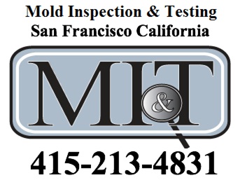 Image for Mold Inspection & Testing San Francisco CA with ID of: 615549