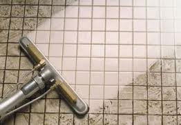 Image for American Grout Specialists with ID of: 615713
