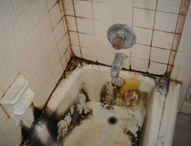 Image for American Grout Specialists with ID of: 615714