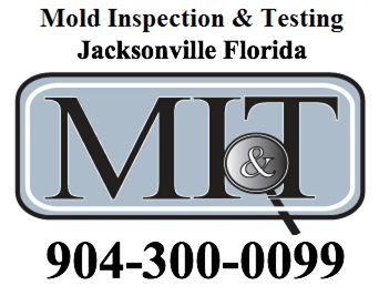 Image for Mold Inspection & Testing Jacksonville FL with ID of: 615865