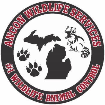 Image for Ancon Wildlife Services with ID of: 6159045