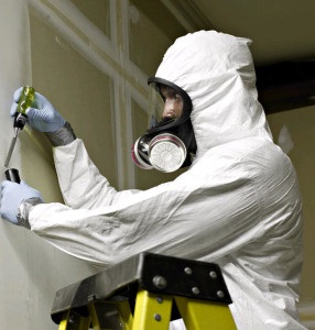 Image for Asbestos Abatement, Inc. with ID of: 4991549