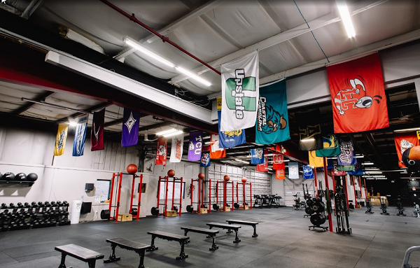 Image for DiamondFit Performance Sports Training - Raleigh with ID of: 4998562
