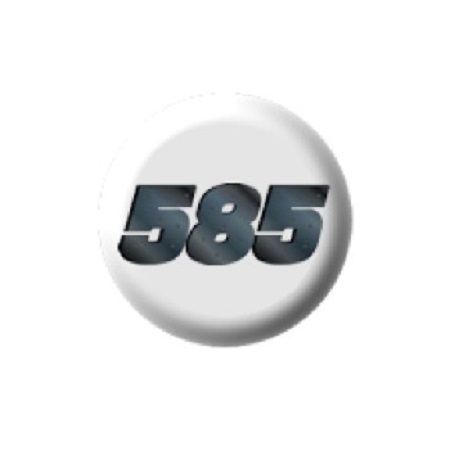 Image for Ability 585 with ID of: 6166098