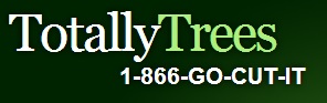 Image for Totally Trees Michigan with ID of: 616671