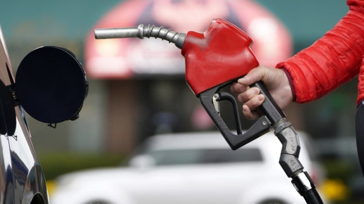 Image for Gasoline Market Segmentation, Development Factors, Trends and Forecast 2024-2032 with ID of: 6166784