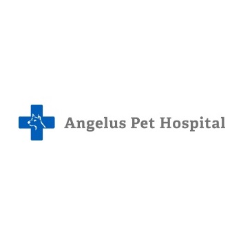 Image for Angelus Pet Hospital with ID of: 6166799
