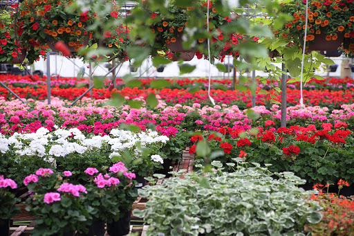 Image for Prairie Gardens with ID of: 5005174