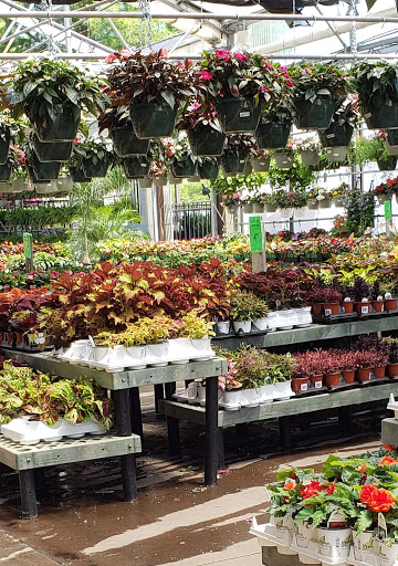 Image for Prairie Gardens with ID of: 5005175