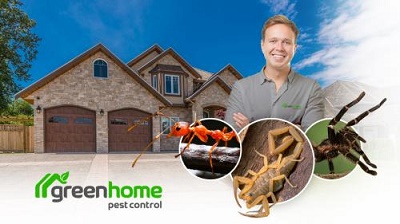 Image for Green Home Pest Control with ID of: 4247303