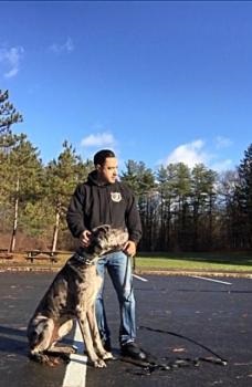 Image for The Hyper Pup with ID of: 5012630