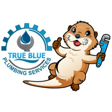 Image for True Blue Plumbing Services with ID of: 6170326