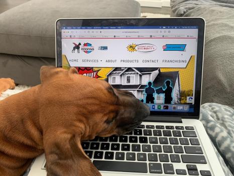 Image for Mighty Dog Roofing with ID of: 5013210