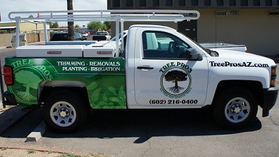 Image for Tree Pros, LLC with ID of: 5014690