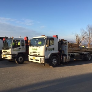Image for Pinus Sawmills with ID of: 6172357