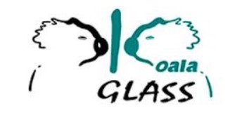 Image for Koala Glass with ID of: 6173779