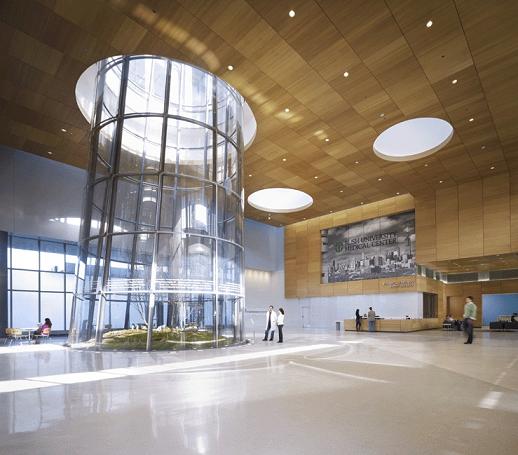 Image for Rush University Medical Center with ID of: 617618
