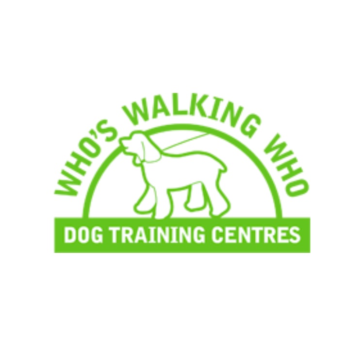Image for Who's Walking Who Dog Training with ID of: 6176444