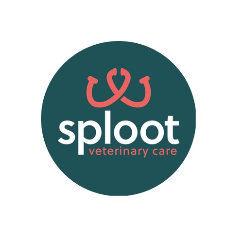 Image for Sploot Veterinary Care - Belmar with ID of: 6176490