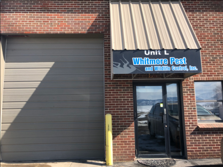 Image for Whitmore Pest & Wildlife Control with ID of: 5019605